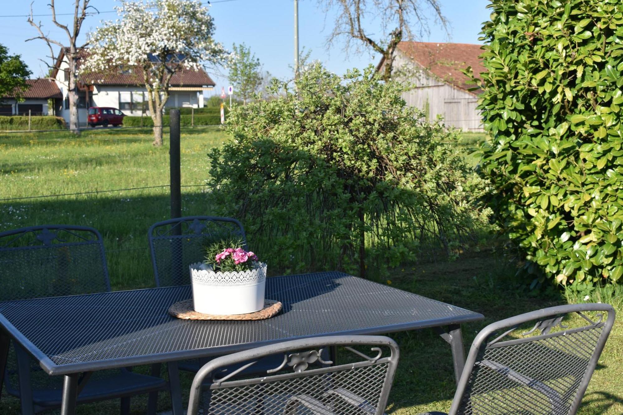 Apartamento Ferien- Und Obsthof Dillmann Langenargen Exterior foto